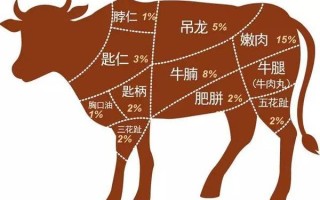 牛哪里有肥肉（牛肉有肥肉么）