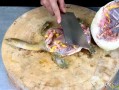 大甲鱼被杀是哪里的（江团鱼怎么杀）