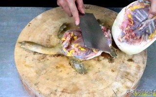 大甲鱼被杀是哪里的（江团鱼怎么杀）