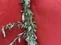 门前插艾草的习俗来历,艾草来自哪里的植物