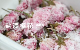盐渍樱花哪里有卖（盐渍樱花食用方法）