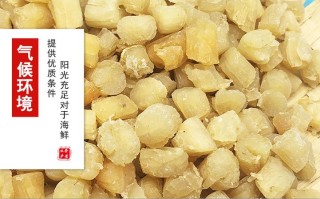 干贝哪里好（干贝产地排名）