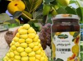 无花果是哪里的（无花果是哪里的特产）