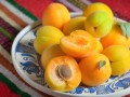 杏子哪里好吃（国内哪里的杏最好吃）