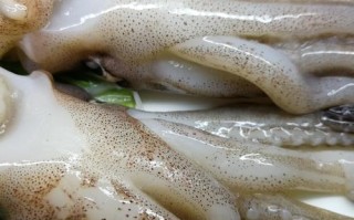 鱿鱼头长哪里,鱿鱼哪里是头