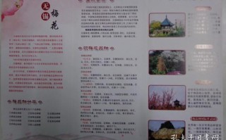 无锡梅园公园门票多少,梅花饼是哪里的特产
