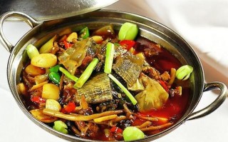 哪里吃甲鱼火锅（哪里吃甲鱼火锅好吃）