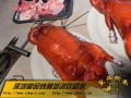 广州哪里有烧鸭培训（在广州哪家烧腊培训是正宗）