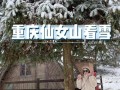 山蕨粑哪里买（重庆看雪景点推荐）