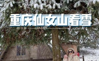 山蕨粑哪里买（重庆看雪景点推荐）