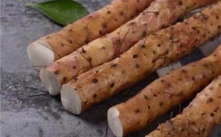 铁棍山药哪里最好-（铁棍山药哪里的最正宗）