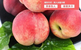 水蜜桃哪里的好吃（山西运城水蜜桃好吃吗）
