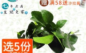 柠檬叶丝哪里可以买（柠檬叶丝哪里可以买到）
