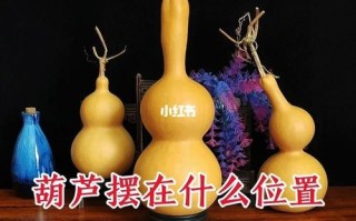葫芦吃哪里（葫芦一般什么时候吃）
