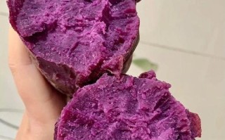 哪里的紫薯好吃（哪里的紫薯好吃?）