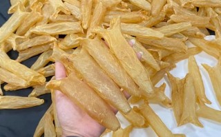 哪里花胶好吗（花胶哪里产的最好）