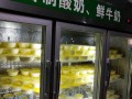 酸奶店怎么样（酸奶店怎么样赚钱）