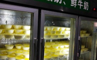 酸奶店怎么样（酸奶店怎么样赚钱）