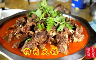 哪里狗肉 最好吃（兰州狗肉哪家好吃）