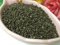 苏子哪里好（哪里产的紫苏好）
