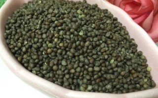 苏子哪里好（哪里产的紫苏好）