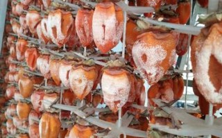 富平哪里有柿饼（富平哪里有柿饼批发）