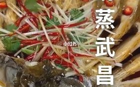 武昌鱼哪里好吃（吉林市哪家江鱼最好吃）
