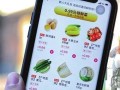 京东买菜哪个app最便宜,素菜在哪里有卖的