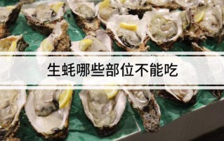 牡蛎哪里能吃（牡蛎那些部位不能食用）