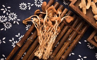 哪里茶树菇好吃（哪的茶树菇最正宗）