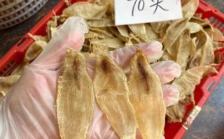 中国鱼胶最大批发市场,鱼胶在哪里买比较放心