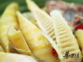 笋哪里不能吃（竹笋有哪些毒性和禁忌）