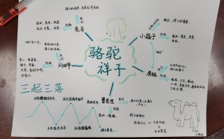辣胡子麻辣烫怎么样（骆驼祥子的所有人物形象）