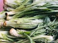 菜香哪里来（菜香哪里来）