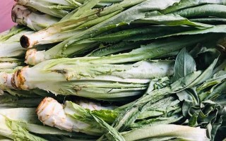 菜香哪里来（菜香哪里来）