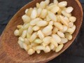 发芽米哪里卖（米芽是什么意思）
