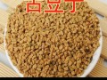 香料苦豆哪里有卖（香料苦豆哪里有卖的）