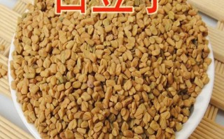 香料苦豆哪里有卖（香料苦豆哪里有卖的）