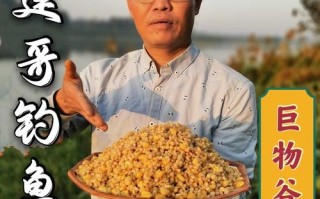 什么谷麦效果好,冬天钓谷麦效果怎么样