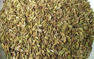 茴香籽哪里（小茴香哪个地方产的最好）