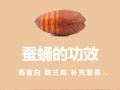 蚕蛹哪里不能吃（蚕蛹哪里不能吃图解）