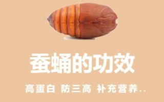 蚕蛹哪里不能吃（蚕蛹哪里不能吃图解）