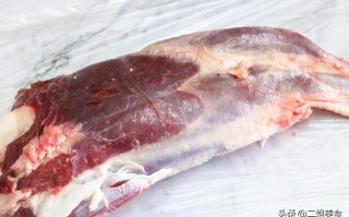 牛腱肉在哪里（牛腱肉是哪个部位）