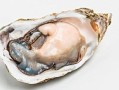 海蛎子有不吃的地方吗,海蛎子哪里不能吃图解视频