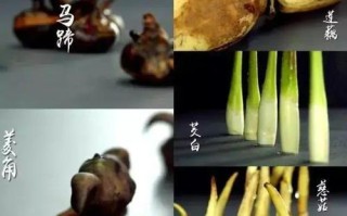 半塘五秀是什么,广州哪里有水菱角卖