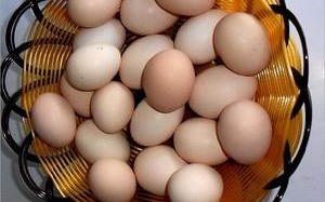 鸡蛋哪里好（为什么鸡蛋多来自河北）
