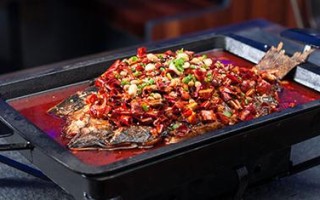 鱼酷烤鱼是活鱼吗,鱼酷烤全鱼可以加盟吗?