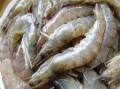 青虾哪里的好吃（青虾哪个产地的最好）