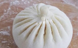 做包子哪里学（做包子哪里学最好）