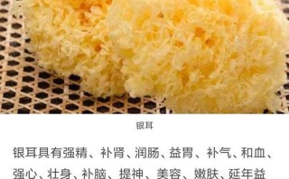 哪里的的银耳最好（哪里的银耳最好）